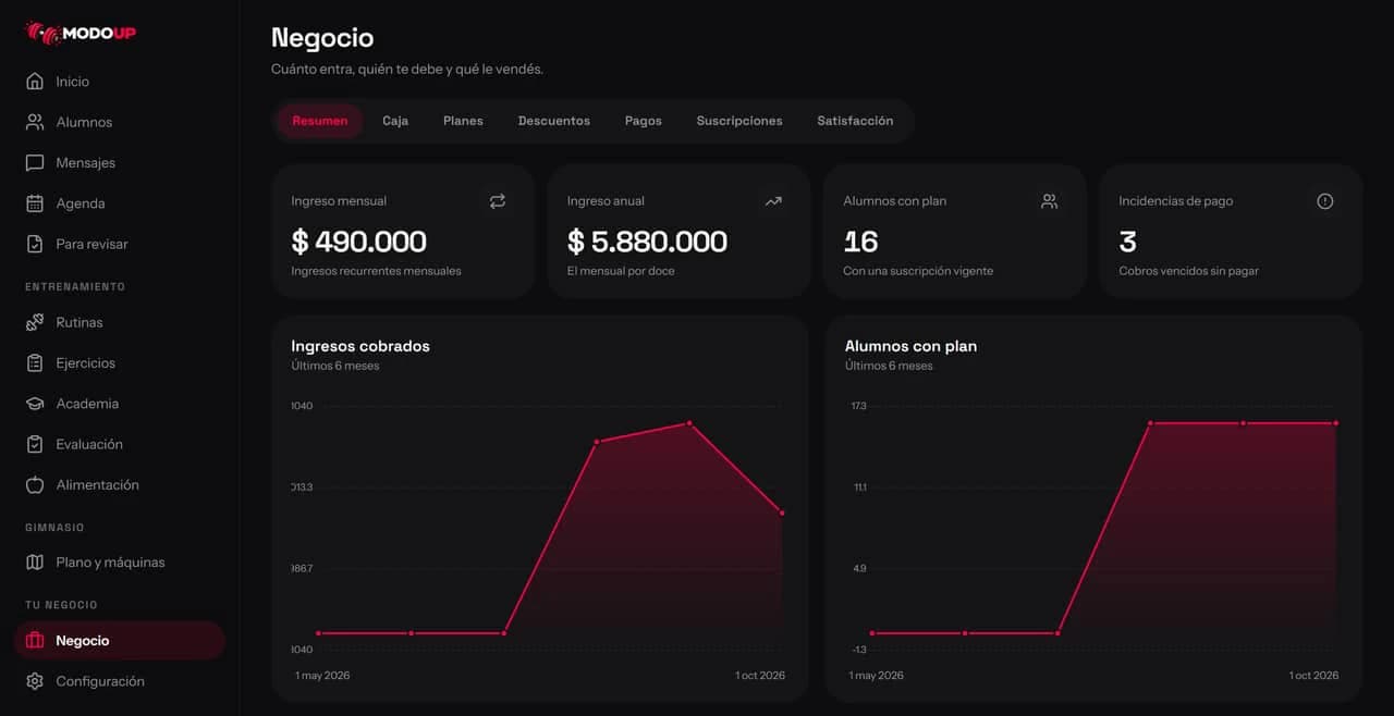 Resumen de Negocio: pestañas, ingreso mensual y anual, alumnos con plan, incidencias y gráficos.