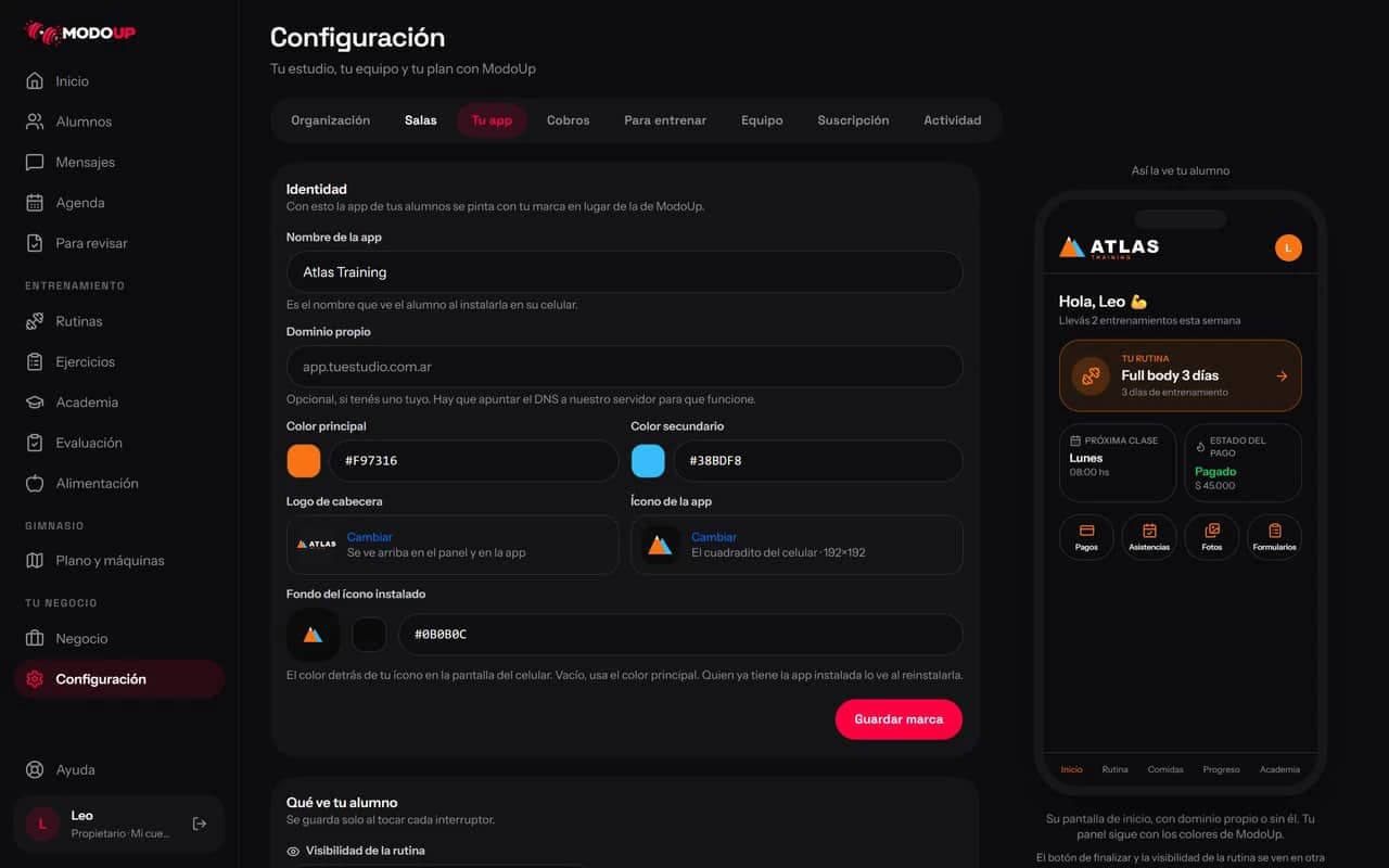 Configuración de la app: nombre, dominio, colores, logo e ícono, con la vista previa al costado.